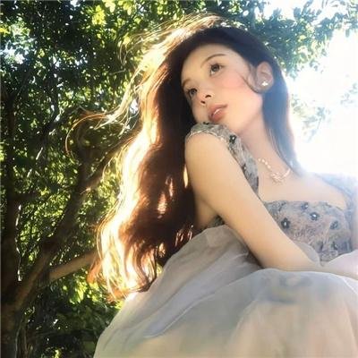 金装四大才子国语